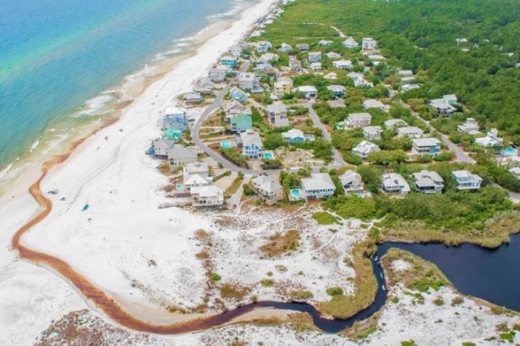 aerial view of beach in 30A