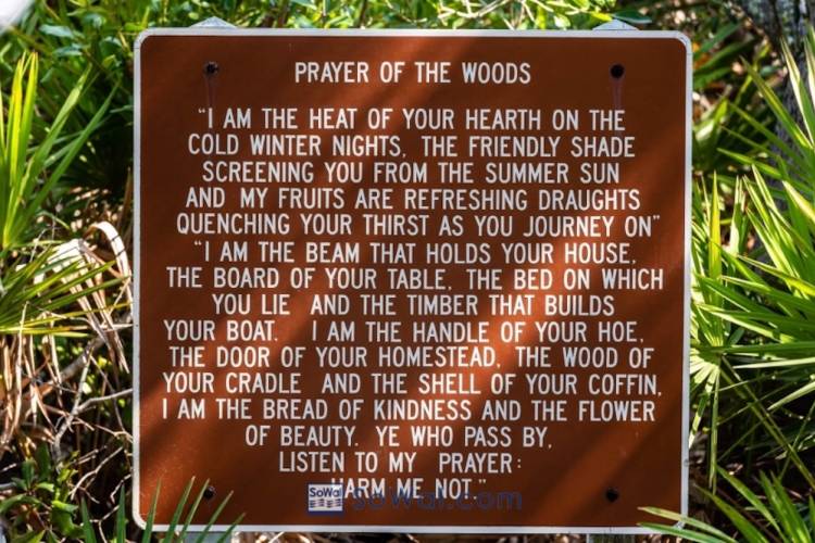 sign in a park that says "prayer of the woods" and has a prayer/poem on it